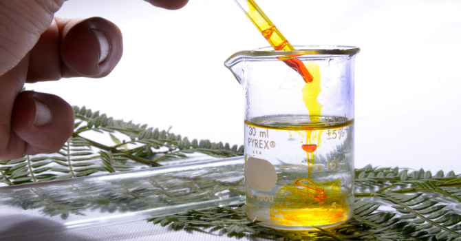 JAE Intro 2021 - Síntesis de Nuevas Estructuras de Ciclodextrinas vía beta-Fragmentación Radicalaria