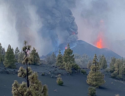 El destino de la biodiversidad durante la reciente erupción volcánica de Tajogaite, La Palma: investigando un evento natural catastrófico