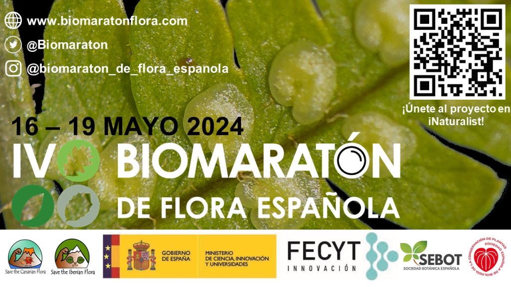 Banner del IV Biomaratón de Flora Española