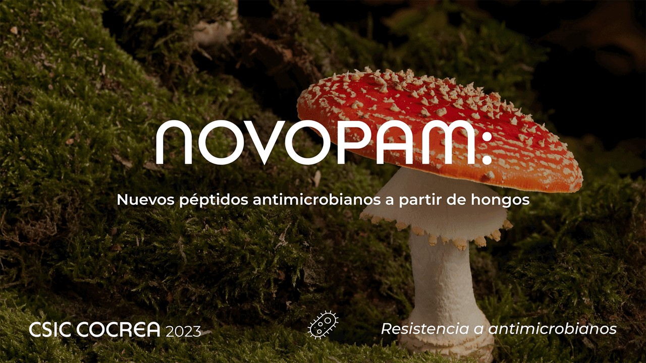 NOVOPAM