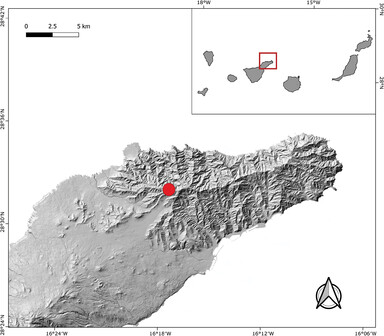 A new species of woodlouse (Isopoda, Oniscidea) from the Canarian laurel forest