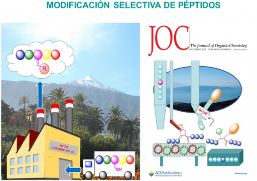 Modificación selectiva de péptidos