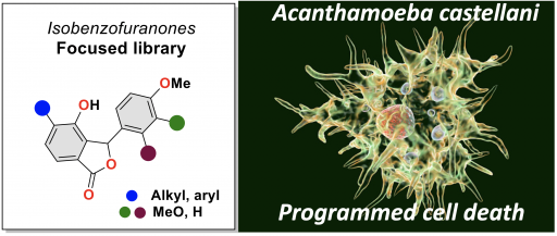 Acanthamoeba castellanii