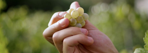 Fotograma vídeo NAWICERT