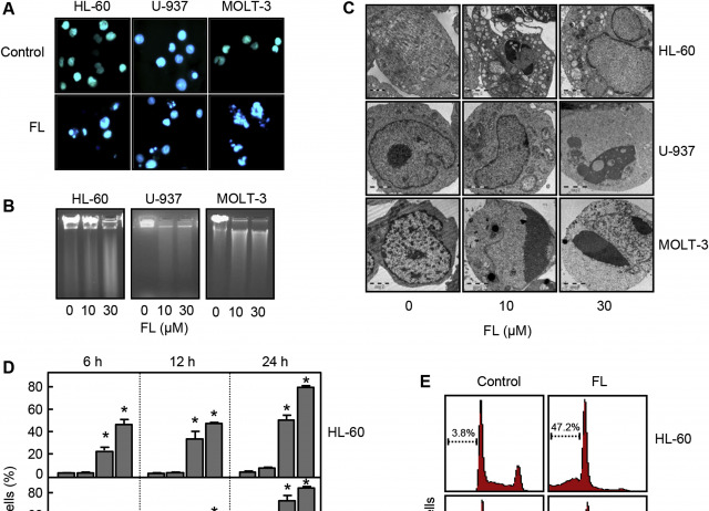 Antiproliferative activity and apoptosis induction