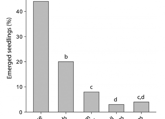 Contribution by vertebrates to seed dispersal effectiveness