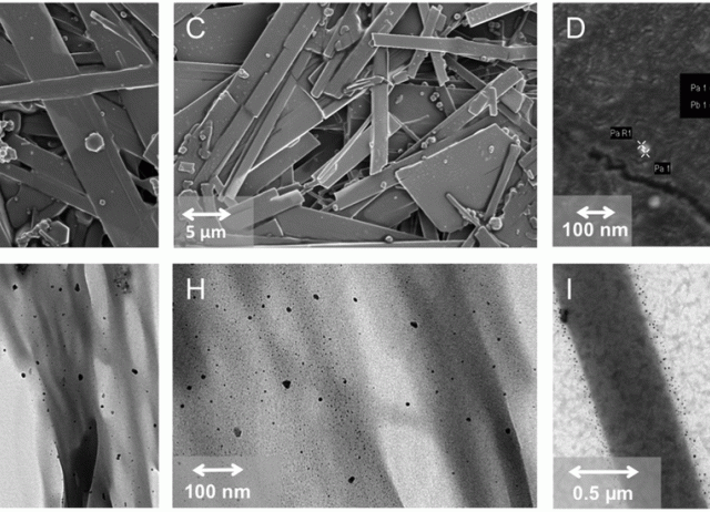 Supramolecular metallogels 