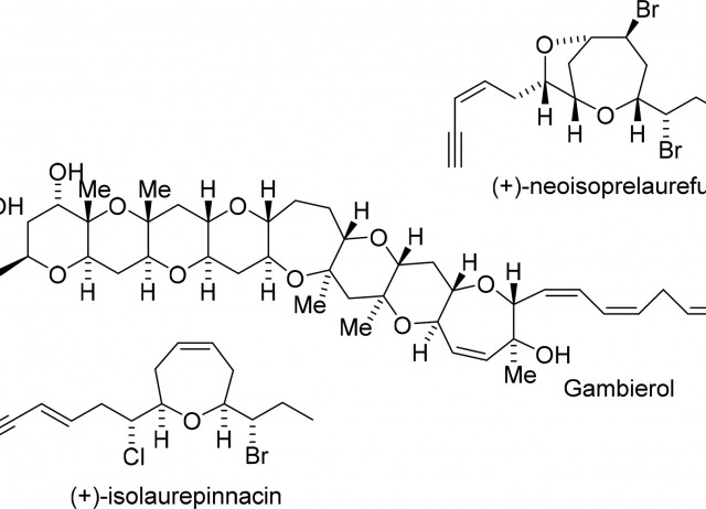 Iron-Catalyzed Prins-Peterson
