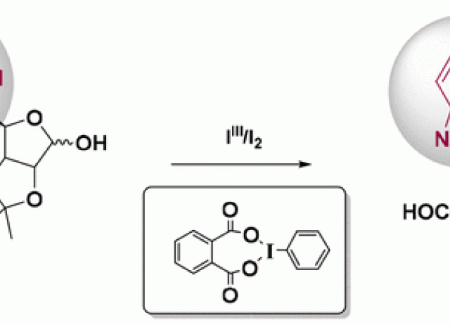 Synthesis of Chiral Polyhydroxylated Benzimidazoles