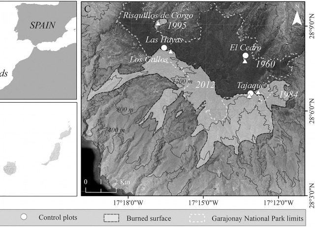 Subtropical cloud forests 