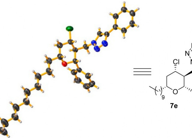 Direct Access to 2,3,4,6-Tetrasubstituted