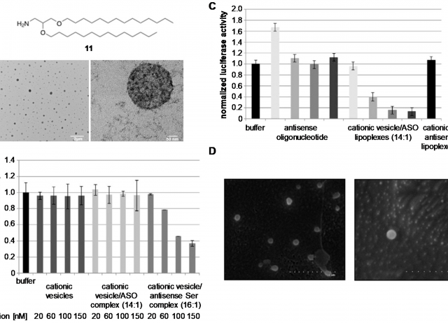 Cationic Niosomes as Non-Viral Vehicles