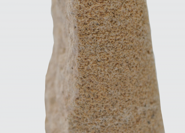 Arenisca bioclástica. Roca sedimentaria. Cantera El Rubicón, Lanzarote.