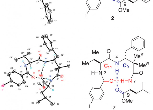 Conformation and Chiral Effects