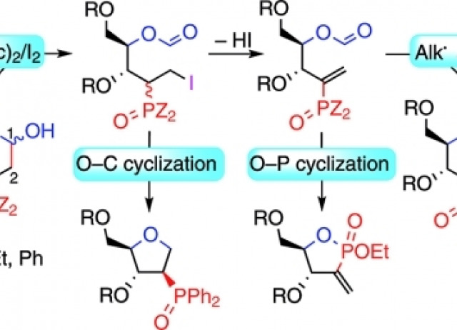 Fragmentation of Carbohydrate Anomeric