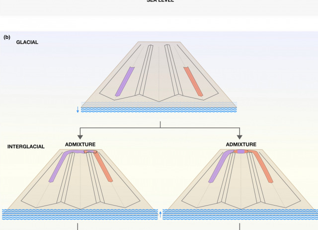 A topoclimate model for Quaternary