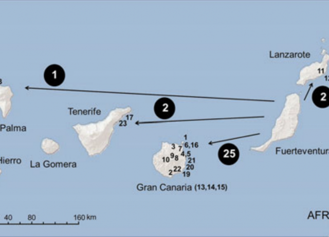 Rapid responses against invasive species