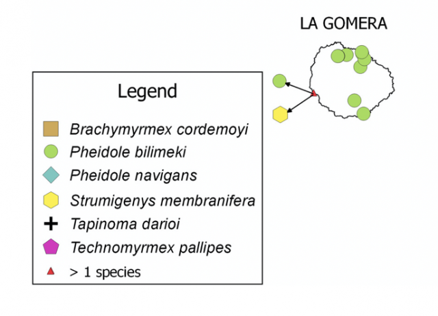 Six new non-native ants
