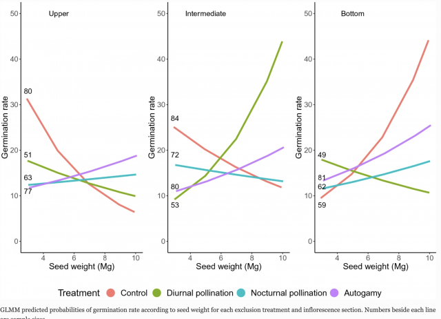 Effect of diurnal vs. nocturnal pollinators