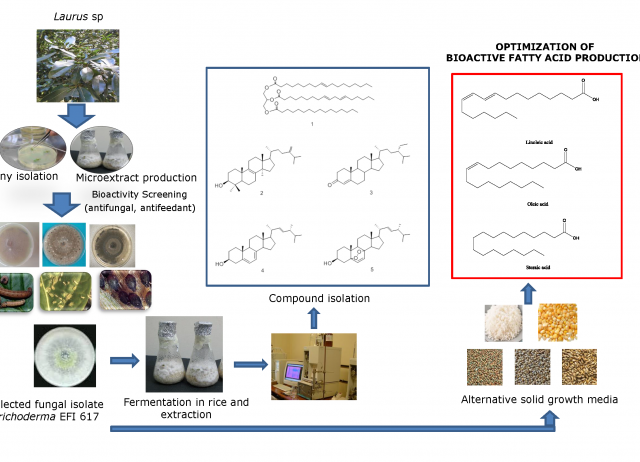 Chemical Composition of an Aphid Antifeedant