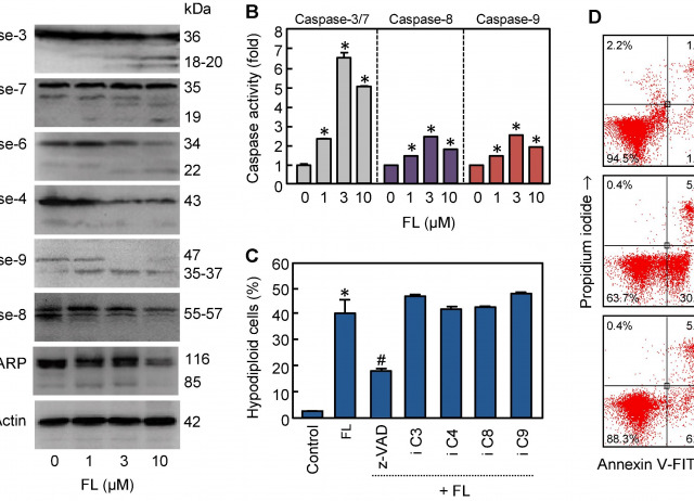 The synthetic flavanone