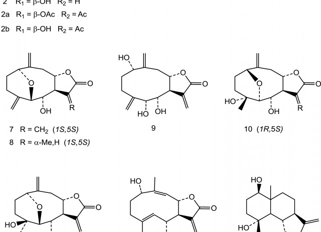 Studies on the sesquiterpene lactones from Laurus novocanariensis lead to the clarification of the structures of 1-epi-tatridin B and its epimer tatridin B