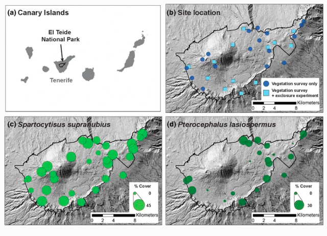 Contrasting effects of invasive rabbits on endemic plants driving vegetation change in a subtropical alpine insular environment