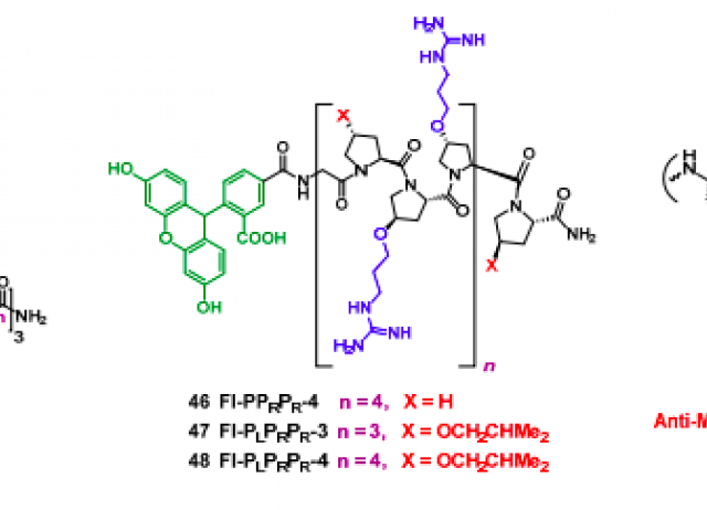 The road from host-defense peptides to a new generation of antimicrobial drugs