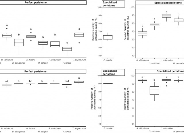 Under which humidity conditions are moss spores released? A comparison between species with perfect and specialized peristomes