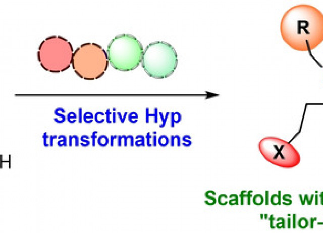 Synthesis of Diketopiperazine Scaffolds with Tailored N‐ and α‐Chains by Selective Modification of Customizable Units