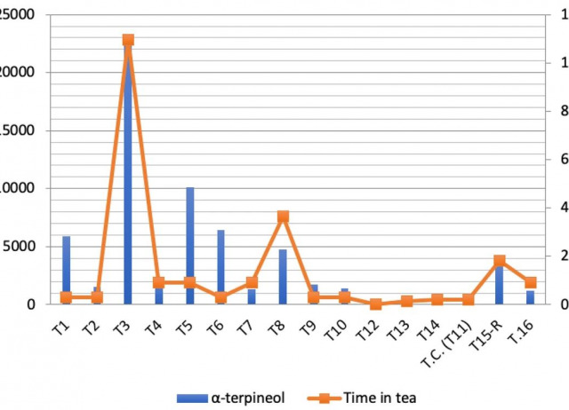 Vino de Tea (pine heartwood wine) from La Palma (Spain): ethnographic and physic-chemical characterization of a unique fermented product