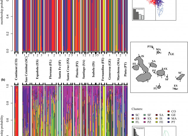 Linking seascape with landscape genetics: Oceanic currents favour colonization across the Galápagos Islands by a coastal plant