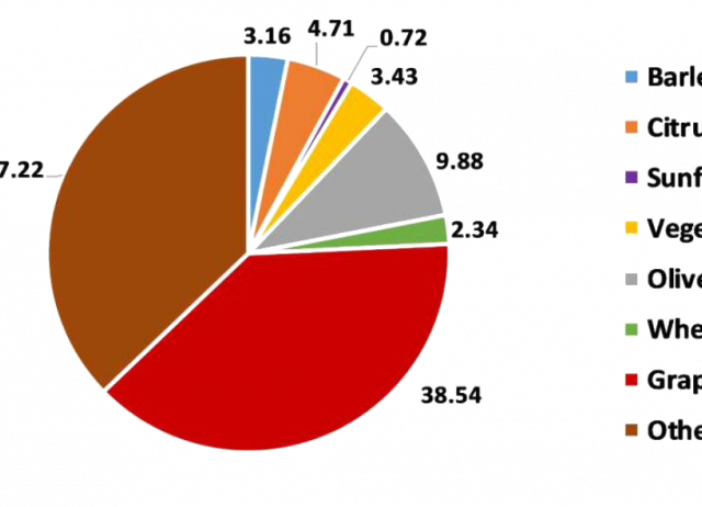 Big sales, no carrots: Assessment of pesticide policy in Spain