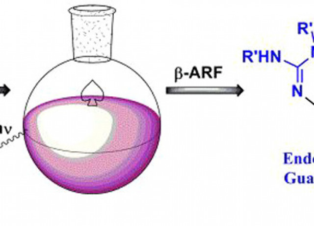 Tandem Radical Fragmentation/Cyclization of Guanidinylated Monosaccharides Grants Access to Medium-Sized Polyhydroxylated Heterocycles