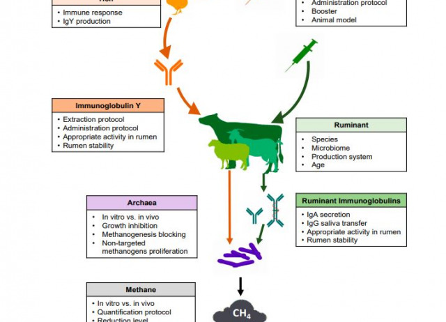 Are Vaccines the Solution for Methane Emissions from Ruminants? A Systematic Review