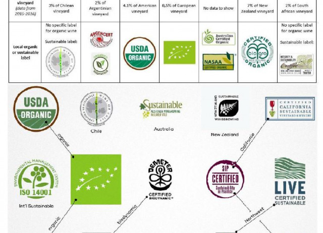 El Vino “Natural”: Alimento, Cultura, Tradición, Patrimonio y… ¡Salud!