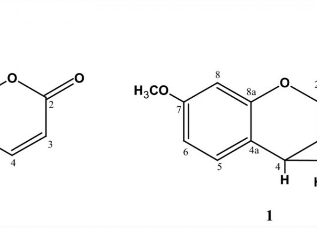 Dimeric Coumarin and Other Constituents from Flowers of Matricaria pubescens