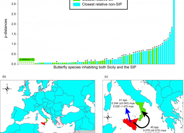 Revealing community assembly through barcoding: Mediterranean butterflies and dispersal variation