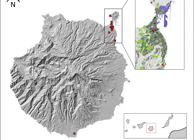 First record of the carpenter bee Xylocopa pubescens (Hymenoptera, Apidae) in the Canary Islands confirmed by DNA barcoding