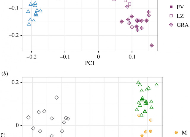 Genomic variation, population history and within-archipelago adaptation between island bird populations
