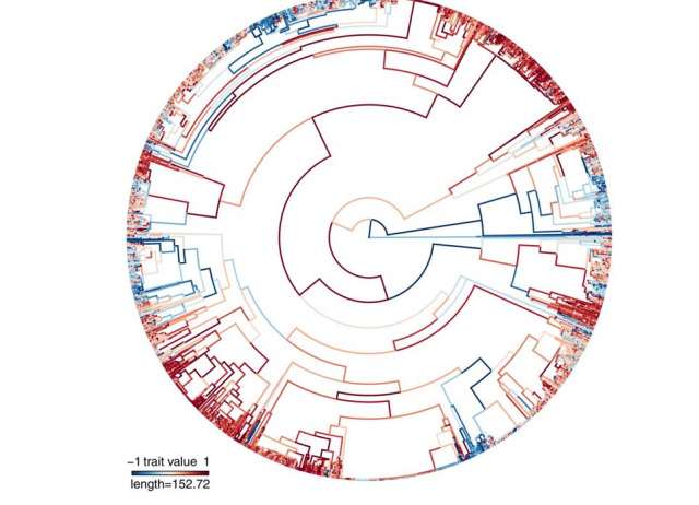 Macroclimatic structuring of spatial phylogenetic turnover in liverworts