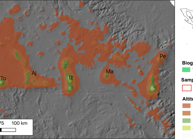 Evaluating species origins within tropical sky-islands arthropod communities