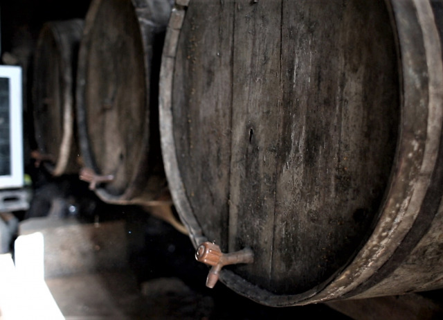 Ciencias sociales,patrimonio,alimentacion