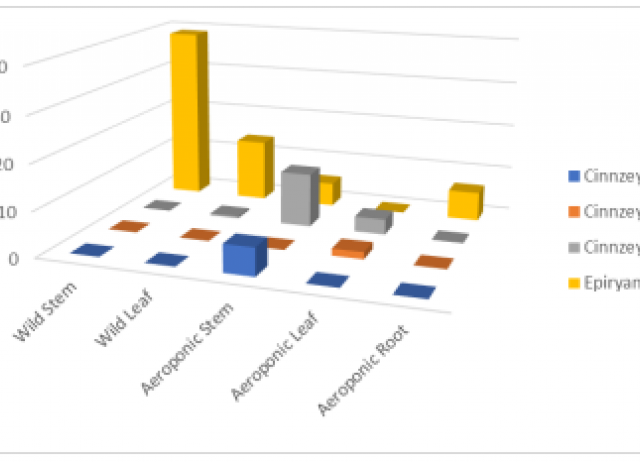 Sustainable Production of Insecticidal Compounds from Persea indica