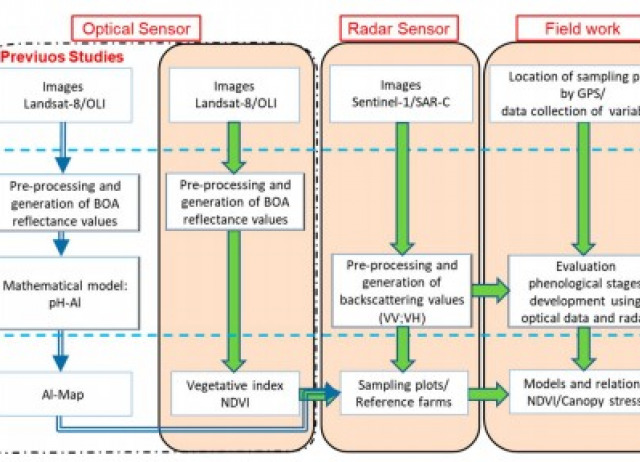 Mapping stressed wheat plants by soil aluminum efect using C‑band SAR images: implications for plant growth and grain quality