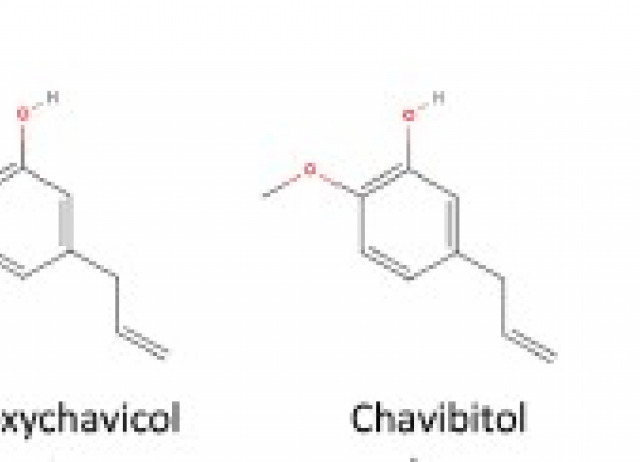 Betelvine (Piper betle L.): A comprehensive insight into its ethnopharmacology, phytochemistry, and pharmacological, biomedical and therapeutic attributes