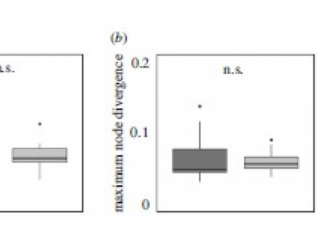 Dispersal ability and its consequences for population genetic differentiation and diversification