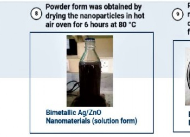 Effects of Phytogenically Synthesized Bimetallic Ag/ZnO Nanomaterials and Nitrogen-Based Fertilizers on Biochemical and Yield Attributes of Two Wheat Varieties