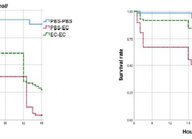 Efficient Oral Priming of Tenebrio molitor Larvae Using Heat-Inactivated Microorganisms