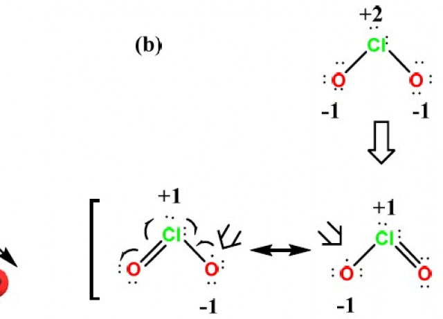 Chlorine Dioxide: Friend or Foe for Cell Biomolecules? A Chemical Approach